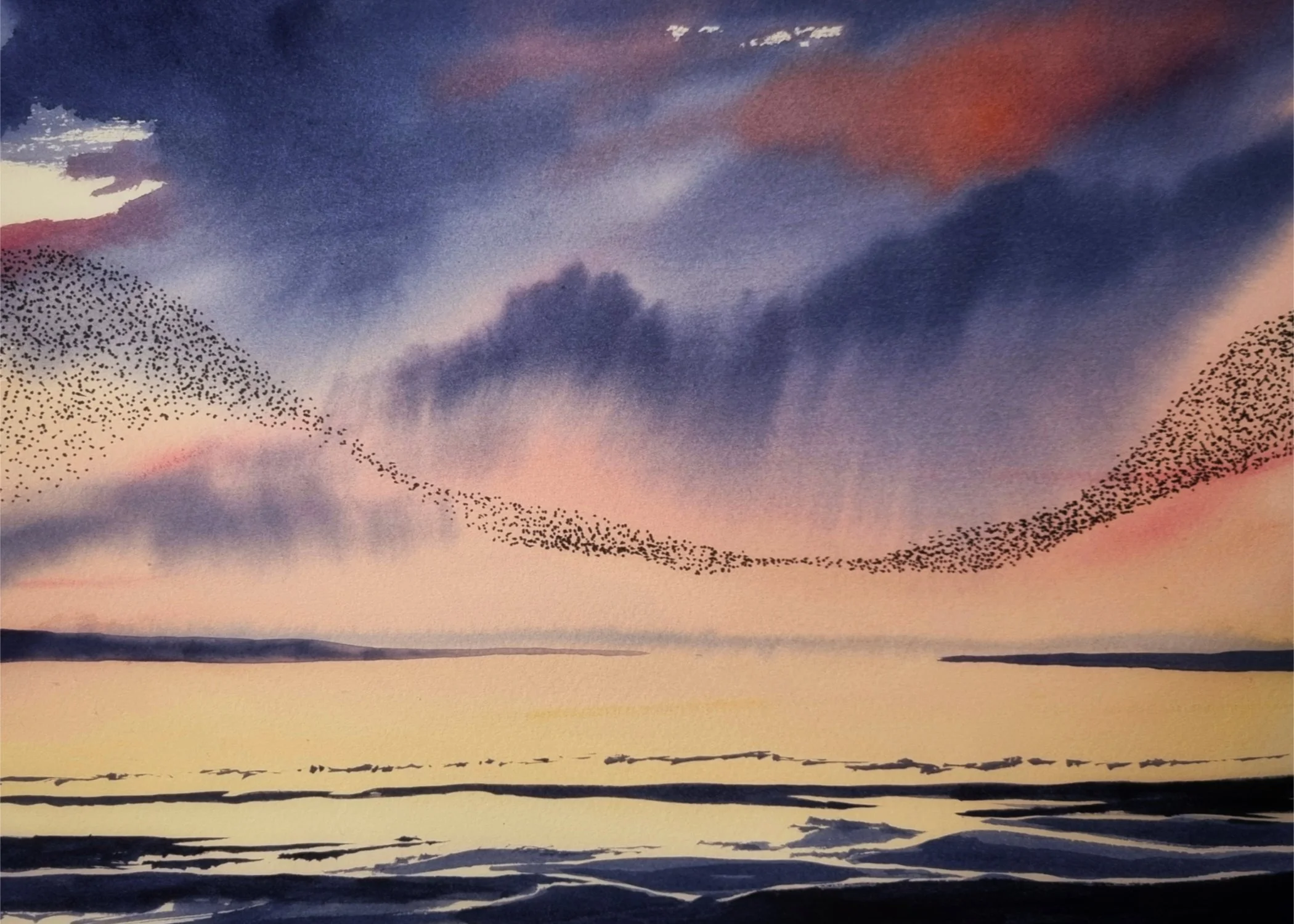 Murmuration X