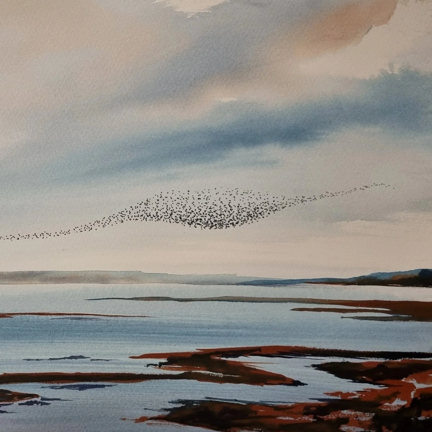 Watercolour Murmurations
