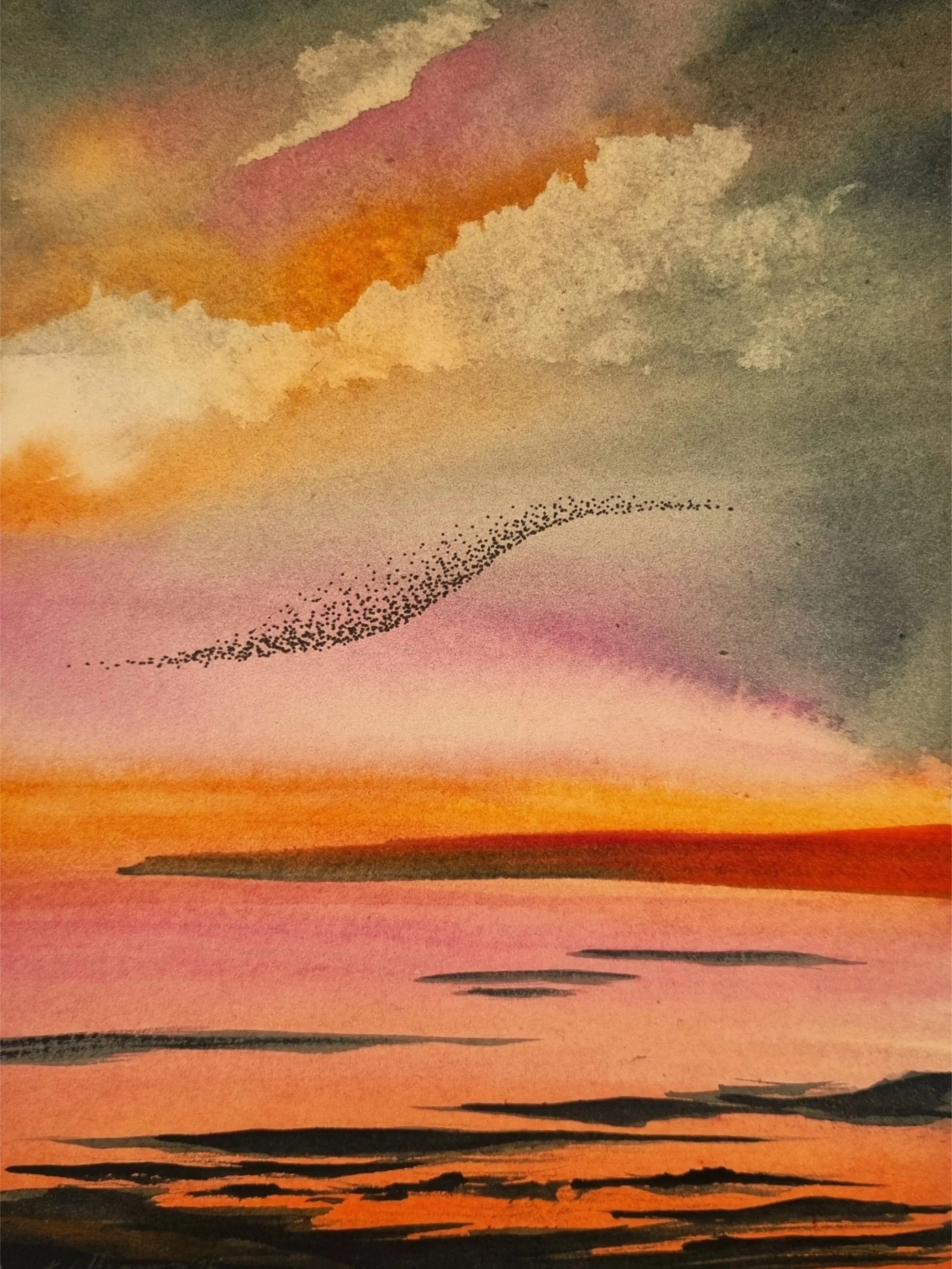 Murmuration XIV