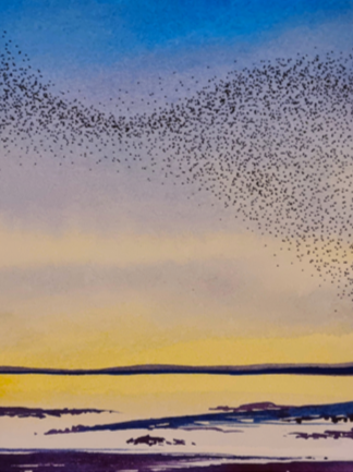 Murmuration VII