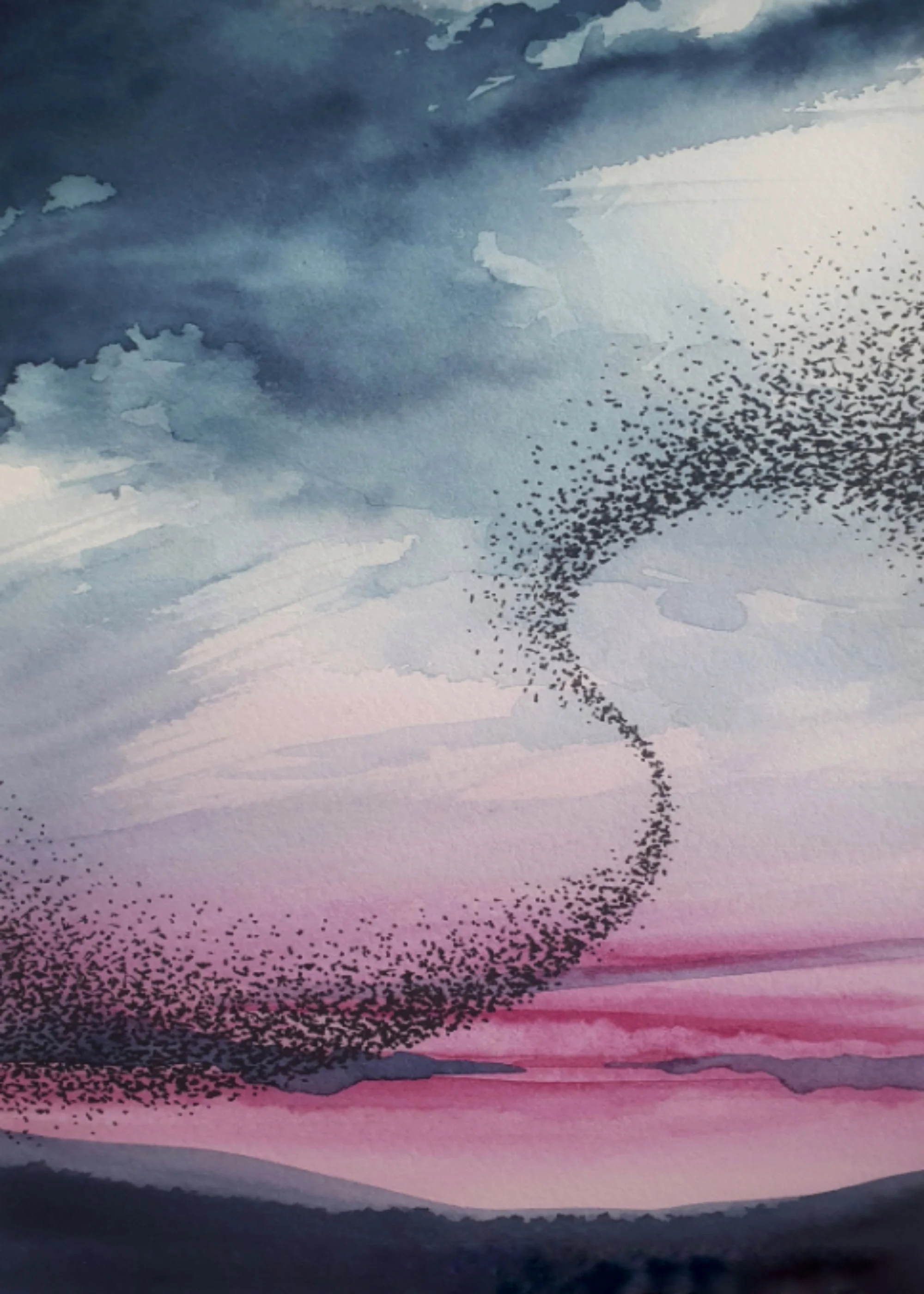 Murmuration I 5x7inches.jpg