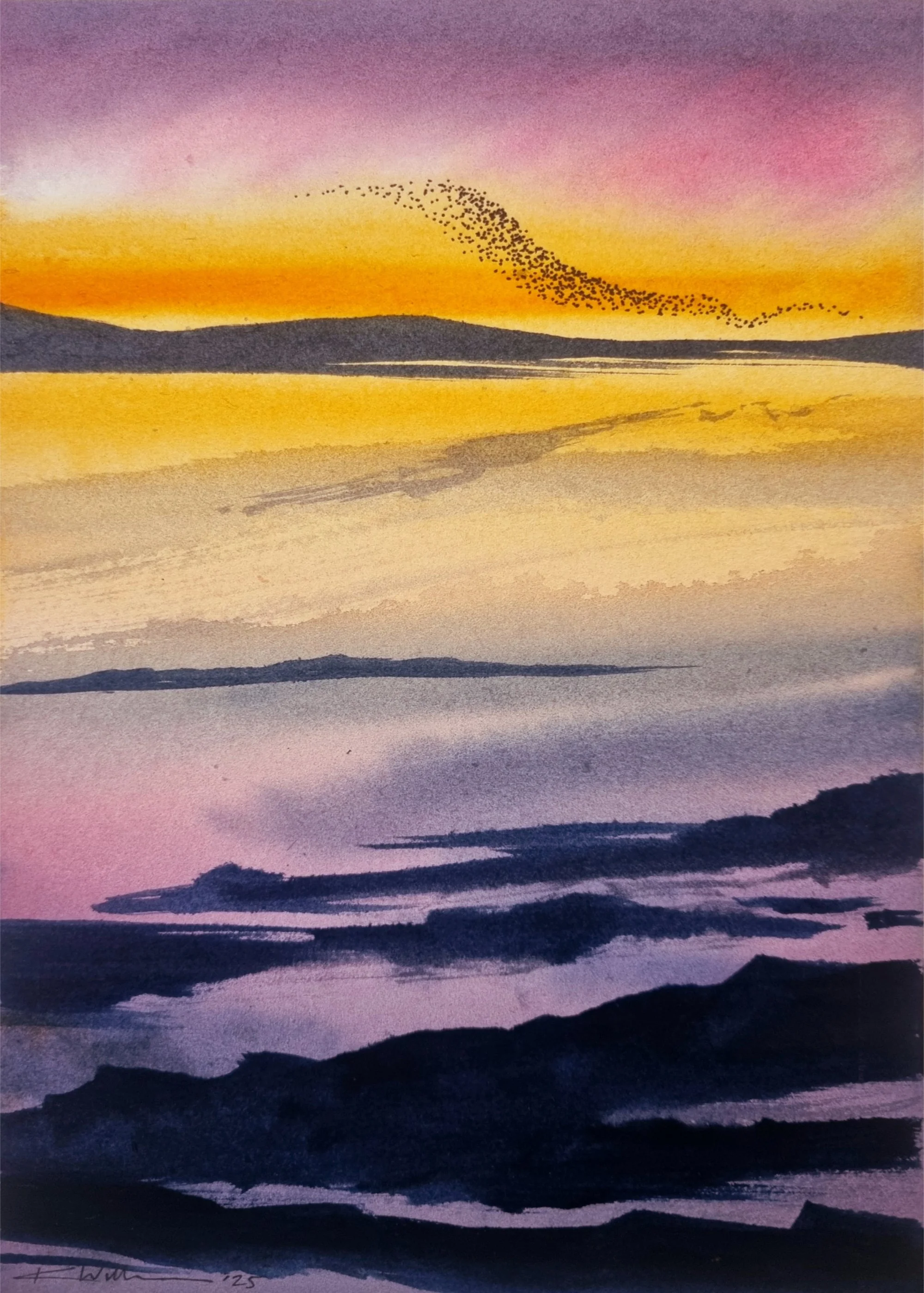 Orange and pink murmuration 5x7inches.jpg
