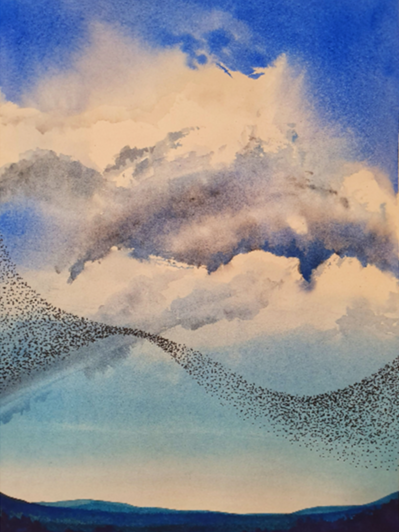 Murmuration IV