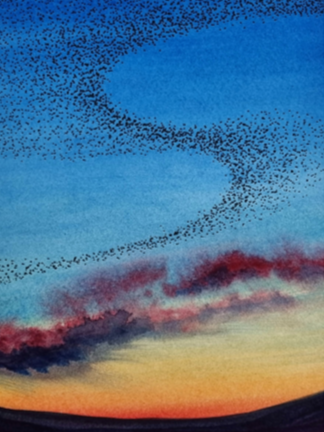 Murmuration VIII