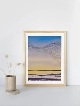 Add+White+Border+to+Image+%284%29.jpg