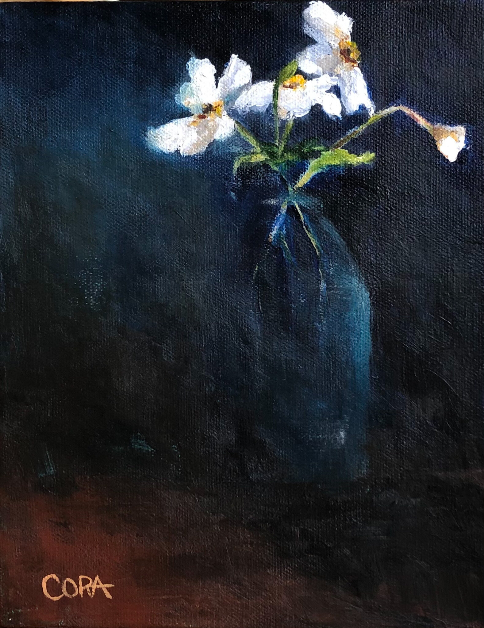 White Daisies
