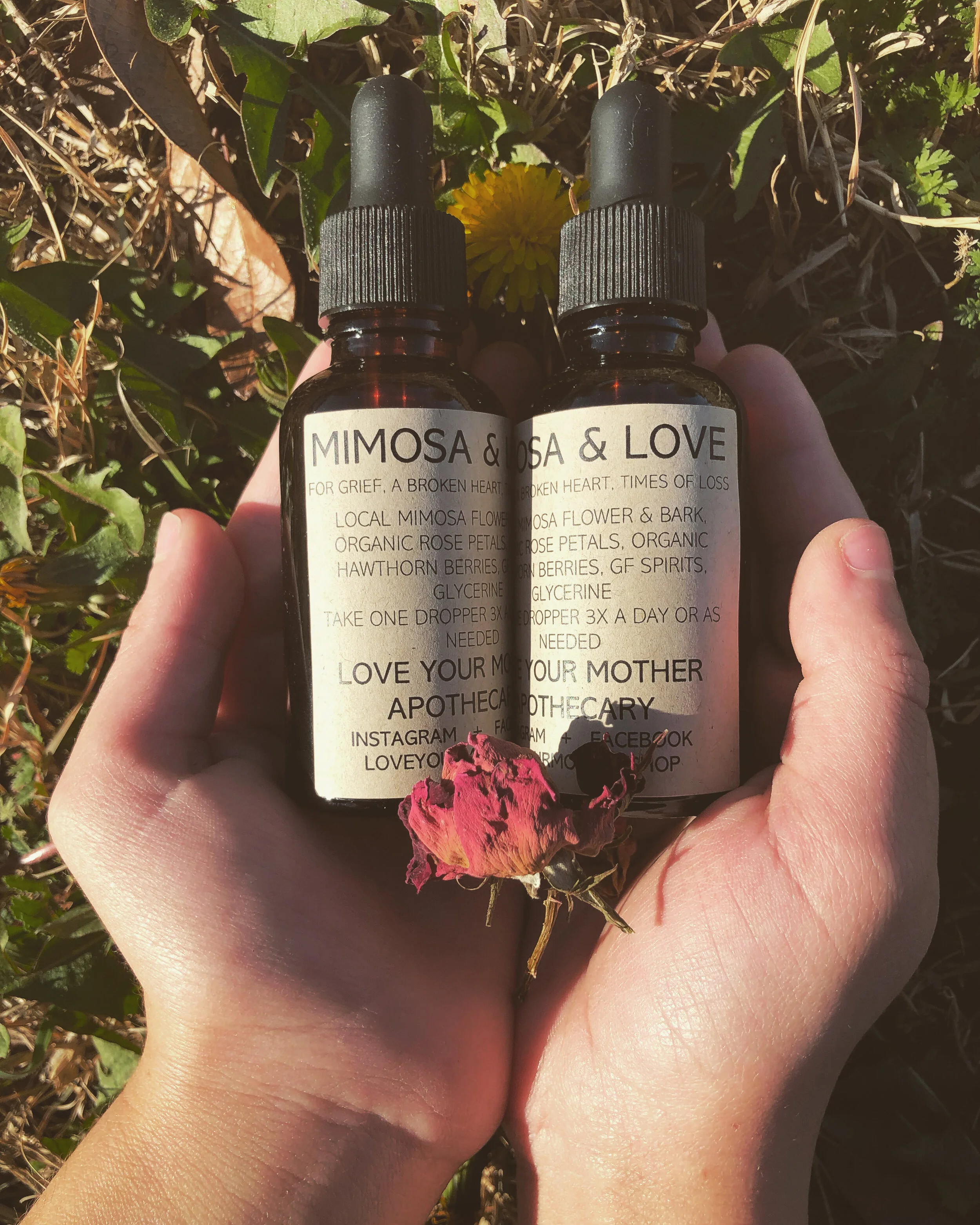 Mimosa&Love.jpg?format=1000w