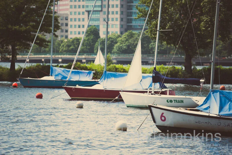 Boston Esplanade 013.jpg