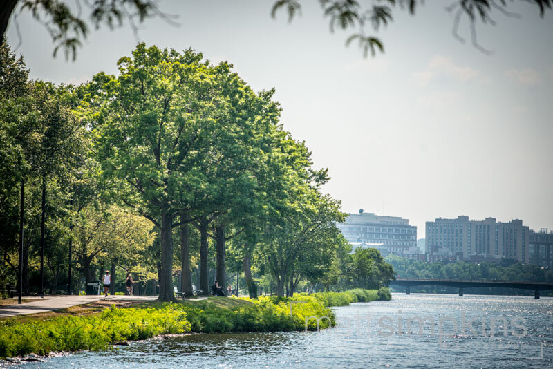 Boston Esplanade 023.jpg