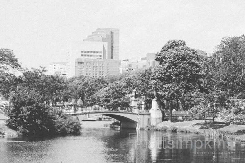 Boston Esplanade 029.jpg