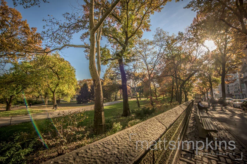170 Amsterdam Neighborhood 11-10-14 002.jpg