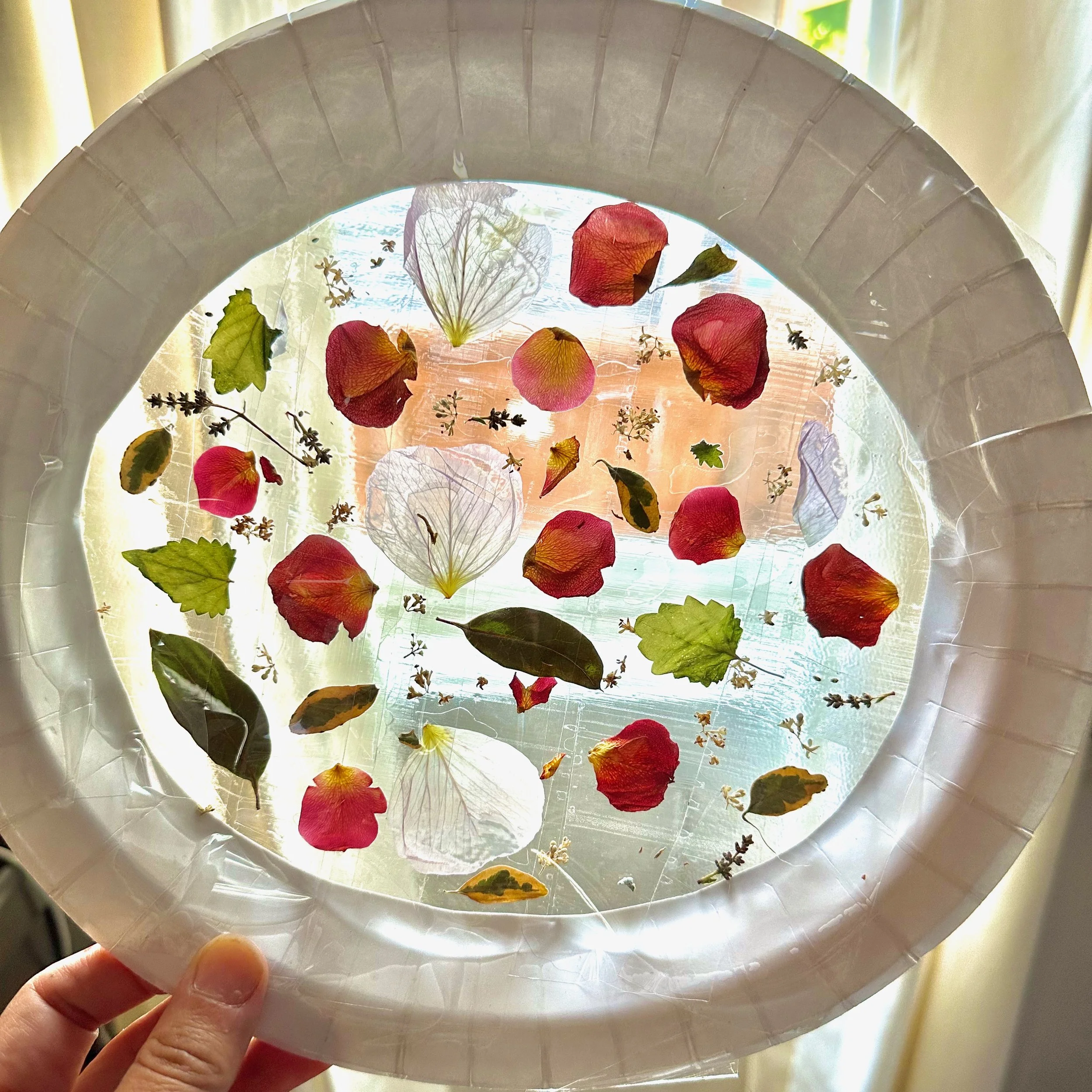 Nature Sun Catcher