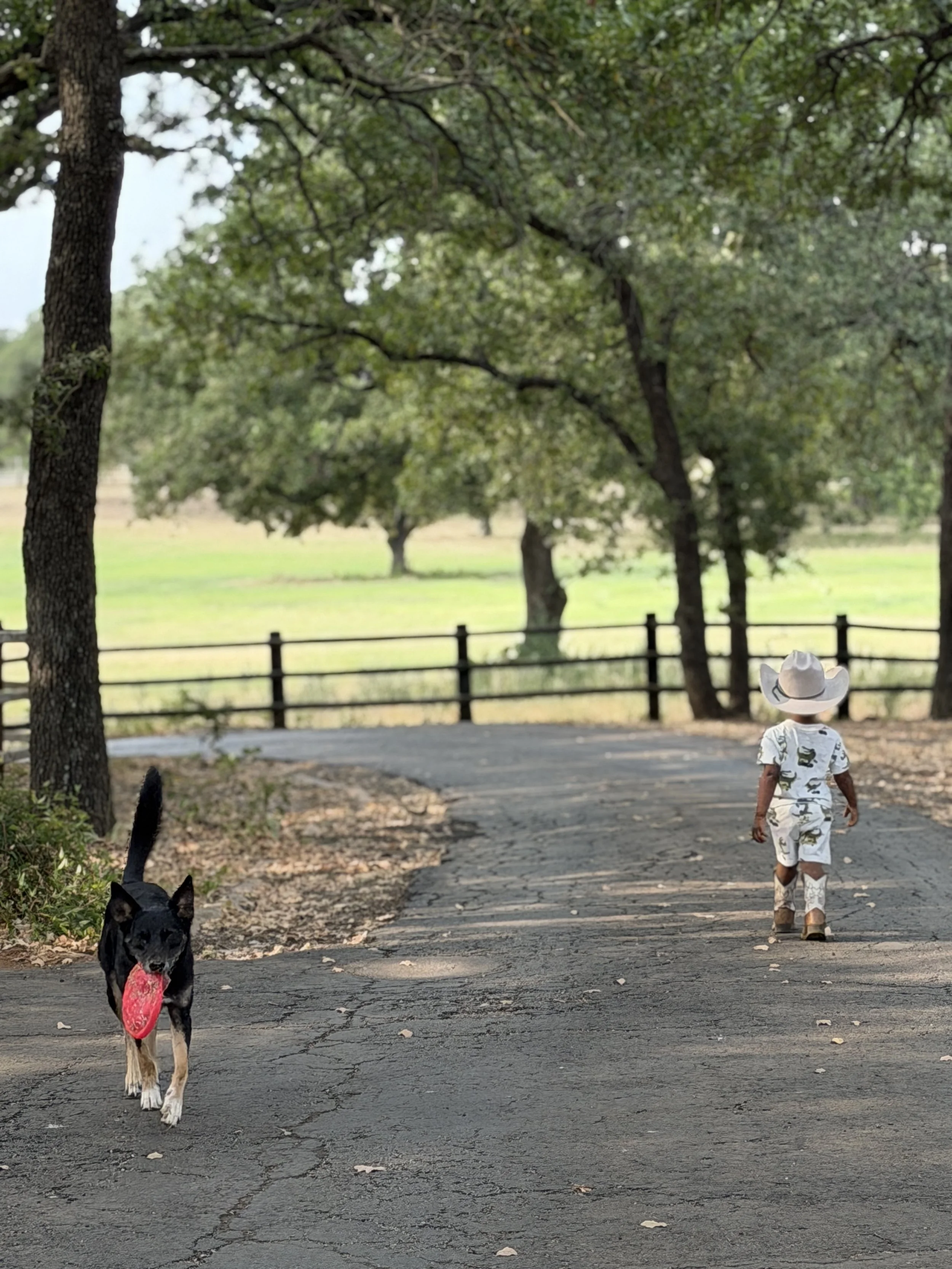 Nanny Position in Rendon- 76140