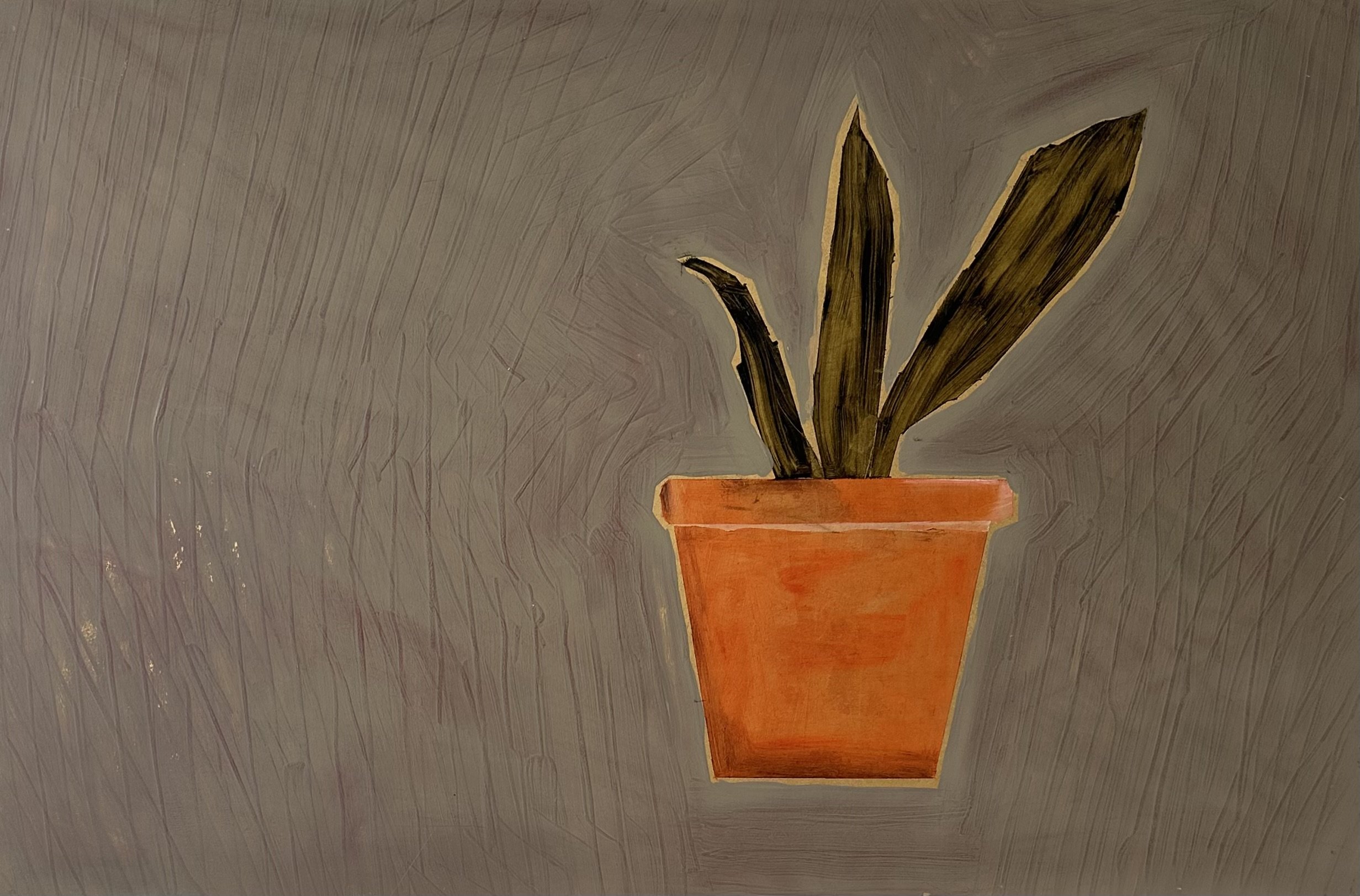 Succulent in pot.jpeg