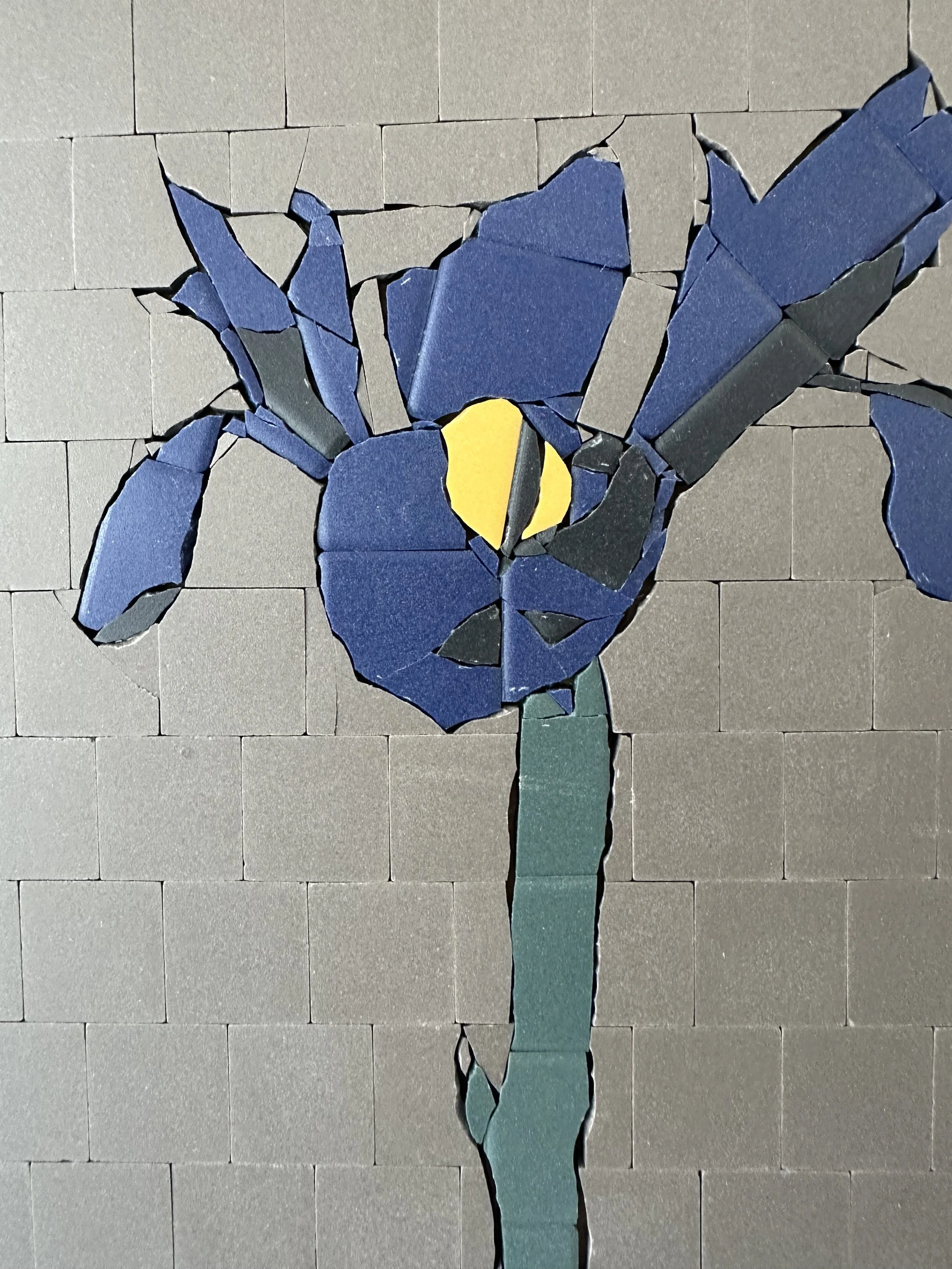 Iris