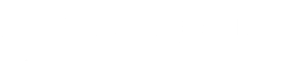 The Nora Project