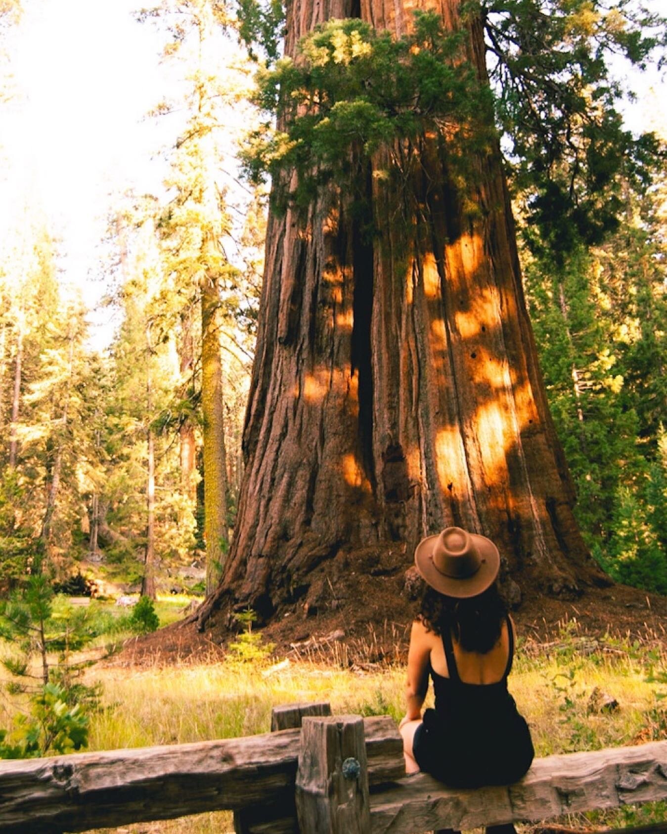 🌲Sequoia National Park - California🌲
&middot;
🇪🇸
Ya de vuelta en Espa&ntilde;a y a&uacute;n asimilando todo lo vivido. &iexcl;Qu&eacute; cantidad de sitios nos quedan a&uacute;n por ense&ntilde;aros! Tenemos entre manos algo MUY guay y empezaremo