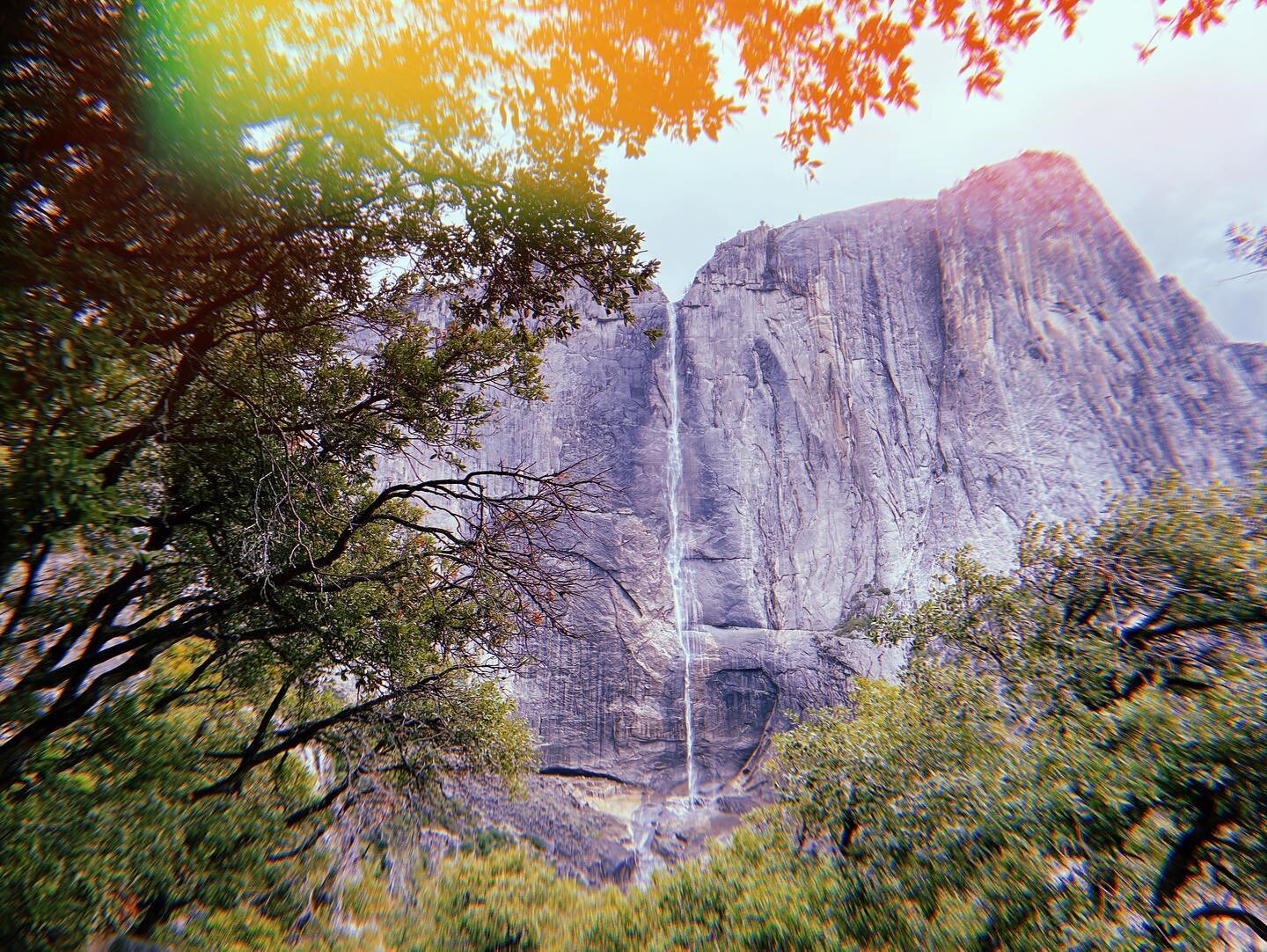 ⛰Yosemite Falls - Yosemite National Park⛰
&bull;
🇪🇸
Nos dejamos llevar. &ldquo;&iquest;Hacemos una ruta?&rdquo; y entonces empezamos a caminar. Cre&iacute;amos que nos llevar&iacute;a cerca de la cascada de Yosemite, pero nada m&aacute;s all&aacute