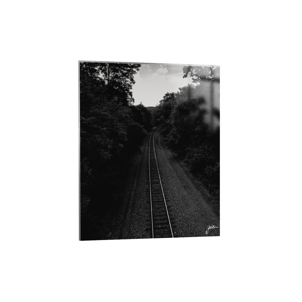 metalprint_rectangle4_5_0_1376_5504_6880_0_false_ffffff_0_0.png