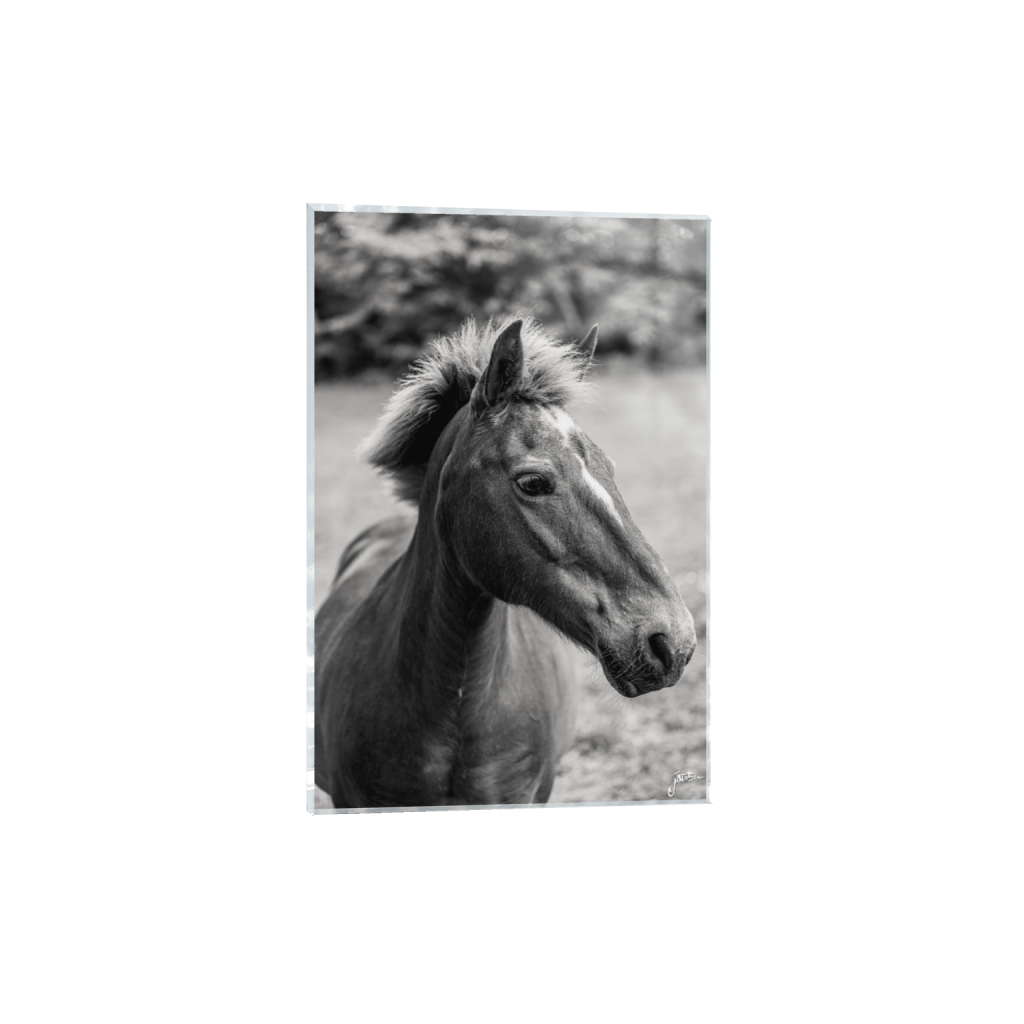 acrylicprint_rectangle2_3_13_0_5504_8256_0_false_ffffff_0_0.png