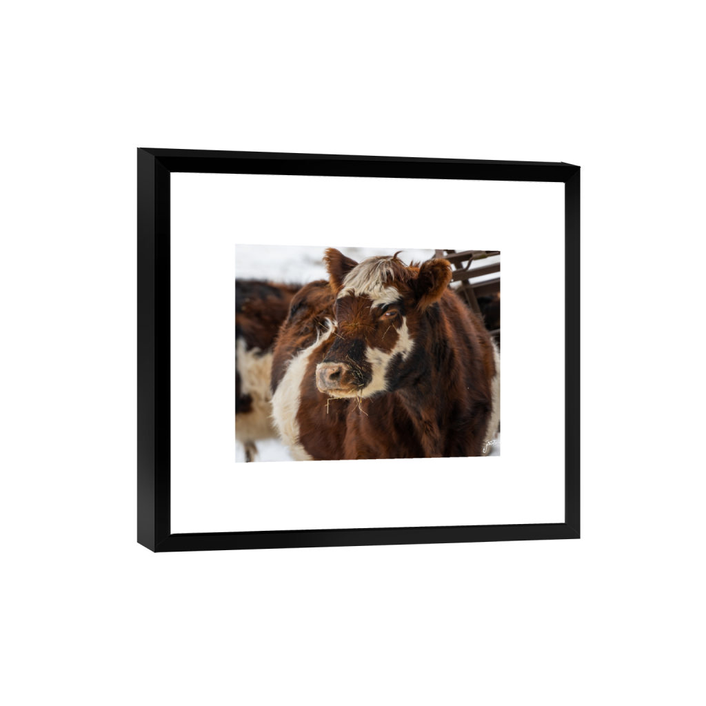 smartframe_rectangle4_5_0_284_2171_1736_0_false_ffffff_0_0.png
