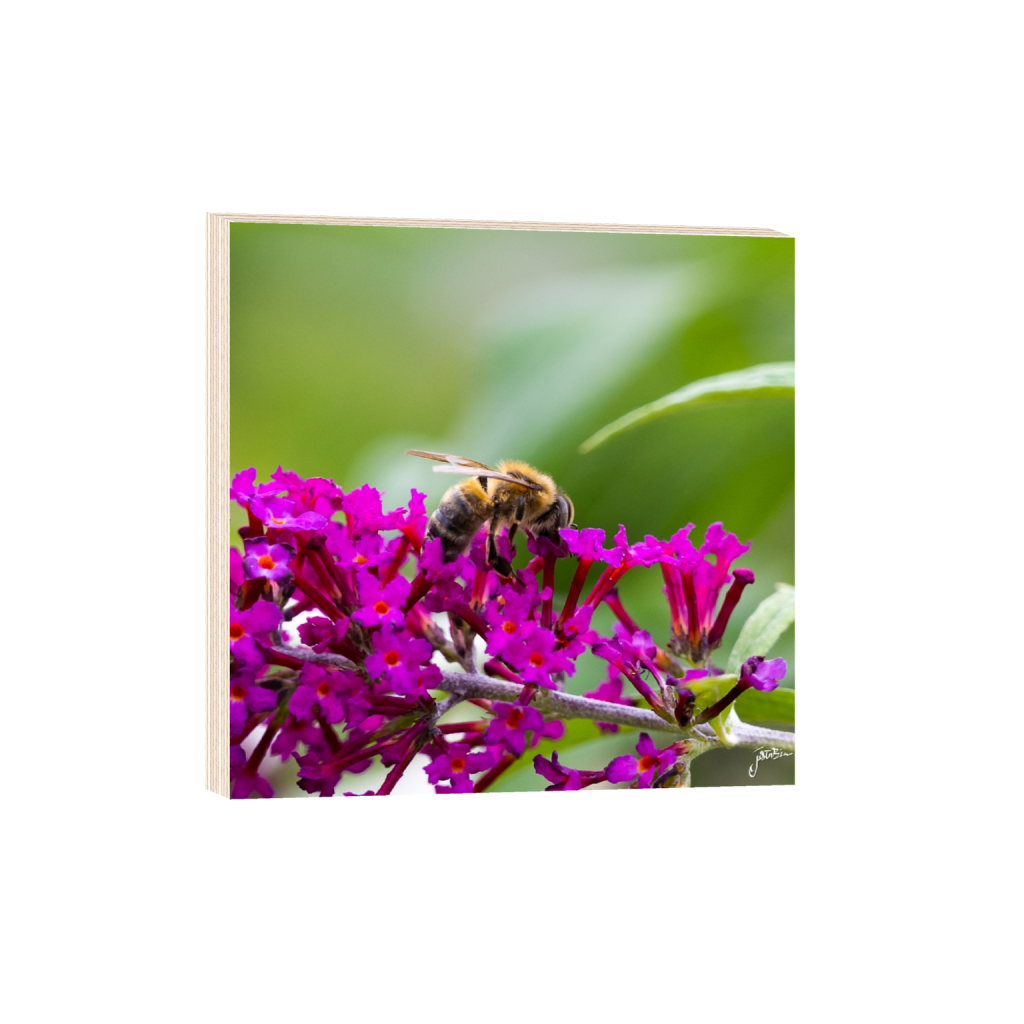 woodprint_square_150_0_1879_1879_0_false_ffffff_0_0.png