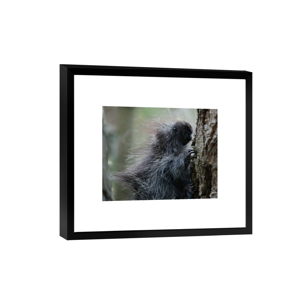 smartframe_rectangle4_5_0_620_4255_3404_0_false_ffffff_0_0.png