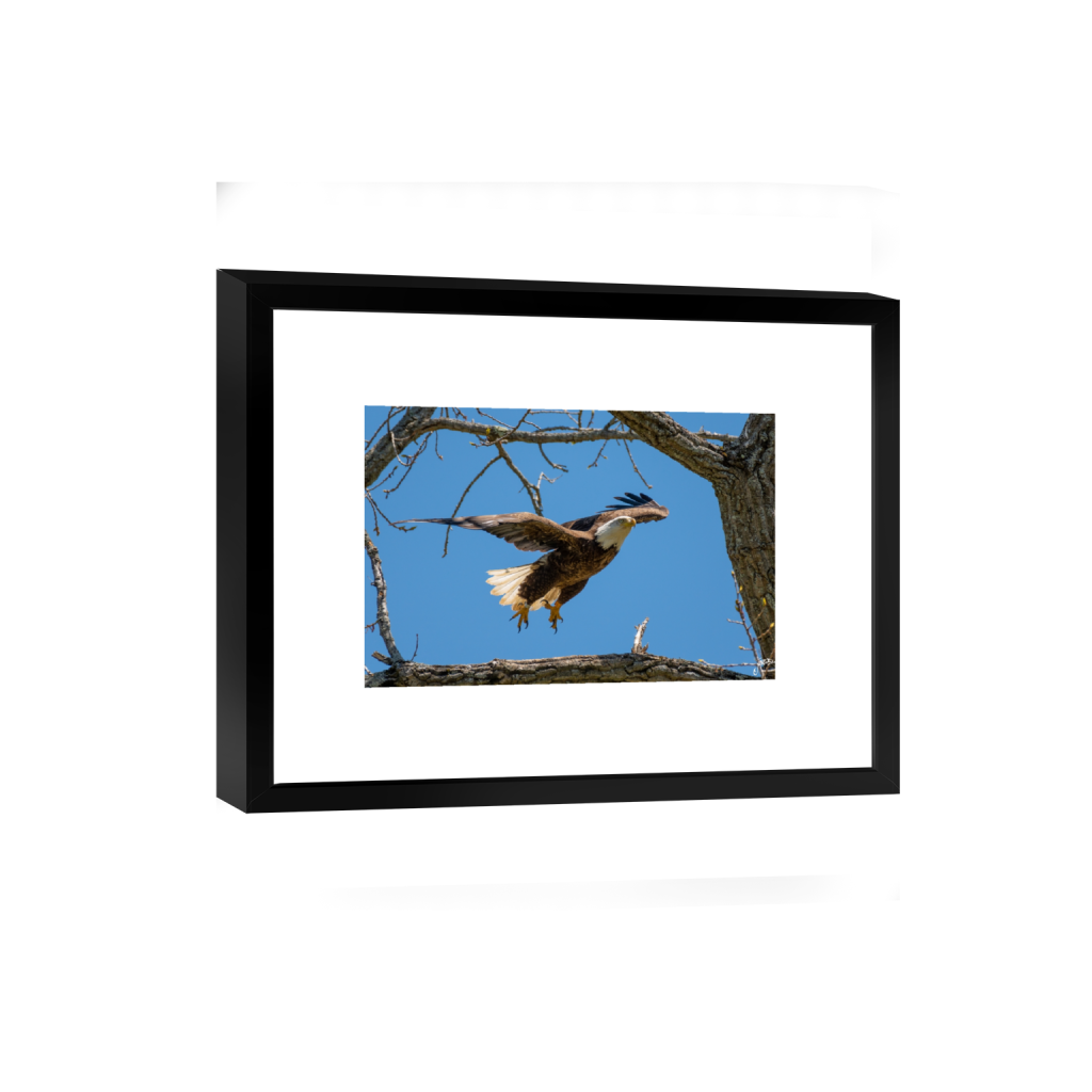 smartframe_rectangle2_3_0_2_4372_2914_0_false_ffffff_0_0.png