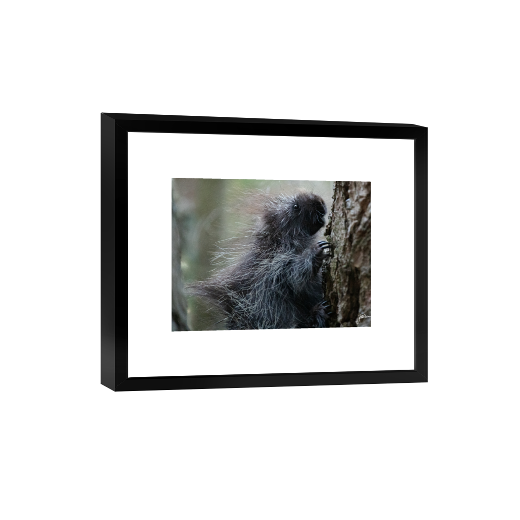 smartframe_rectangle3_4_10_833_4255_3191_0_false_ffffff_0_0.png