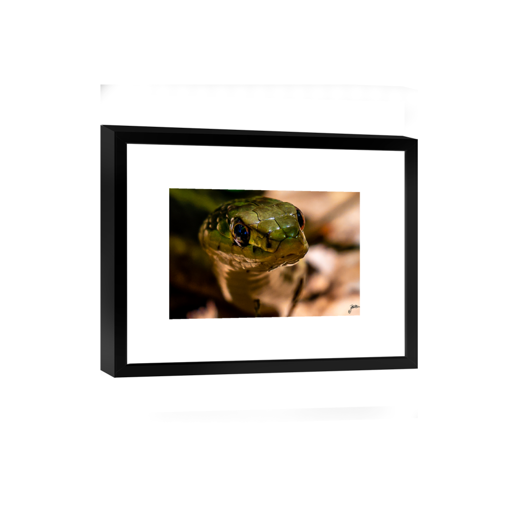 smartframe_rectangle2_3_0_143_1143_762_0_false_ffffff_0_0.png
