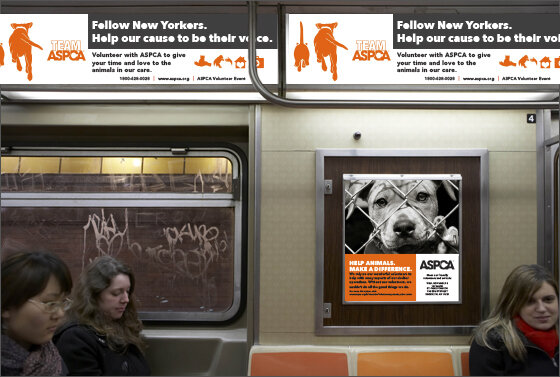 ASPCA Train Campaign