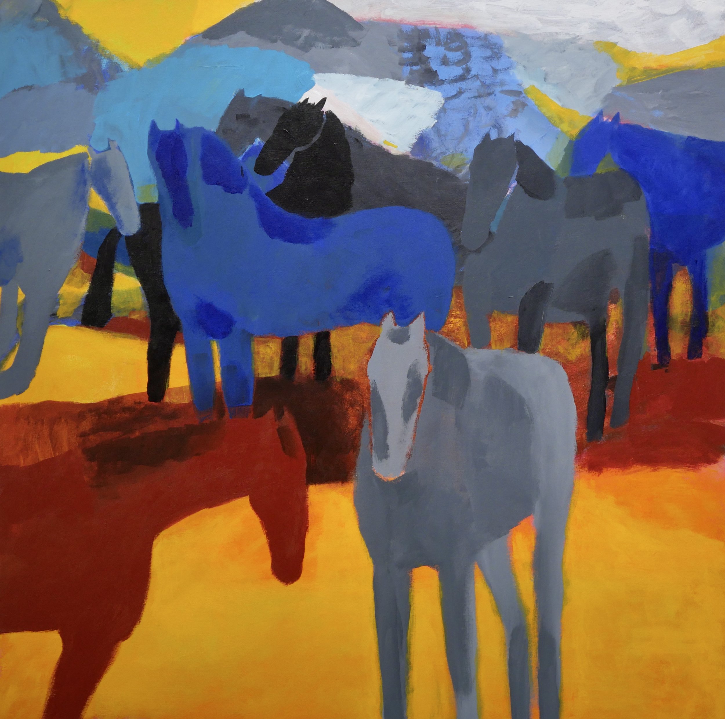 Interviews with artists—Lucy Schappy