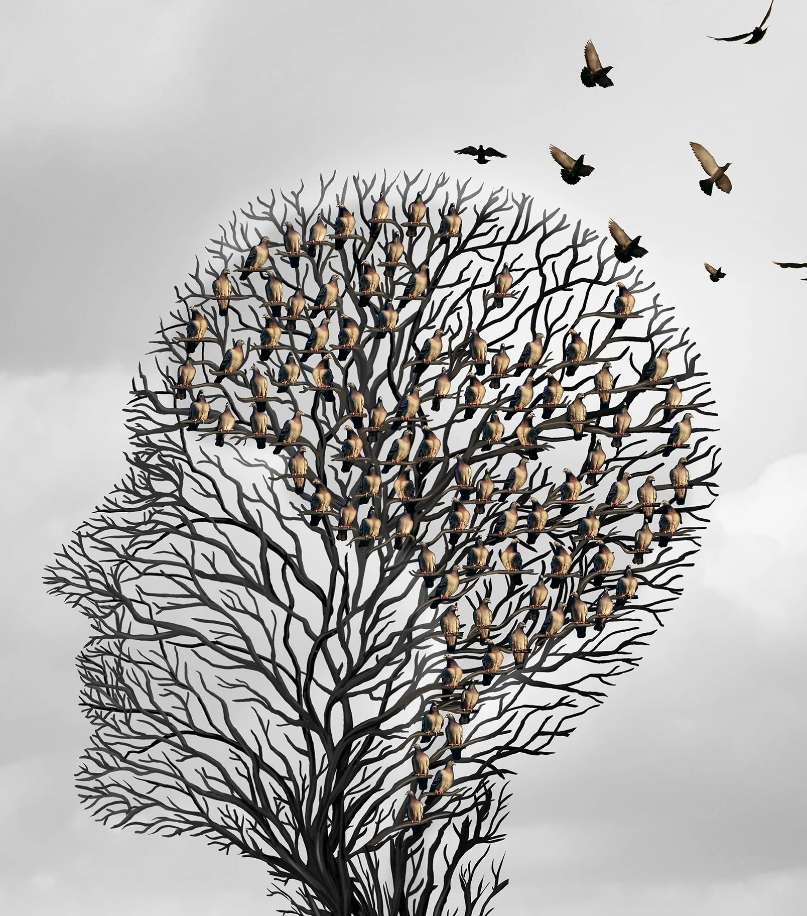 Click on the image to join the Lift Group