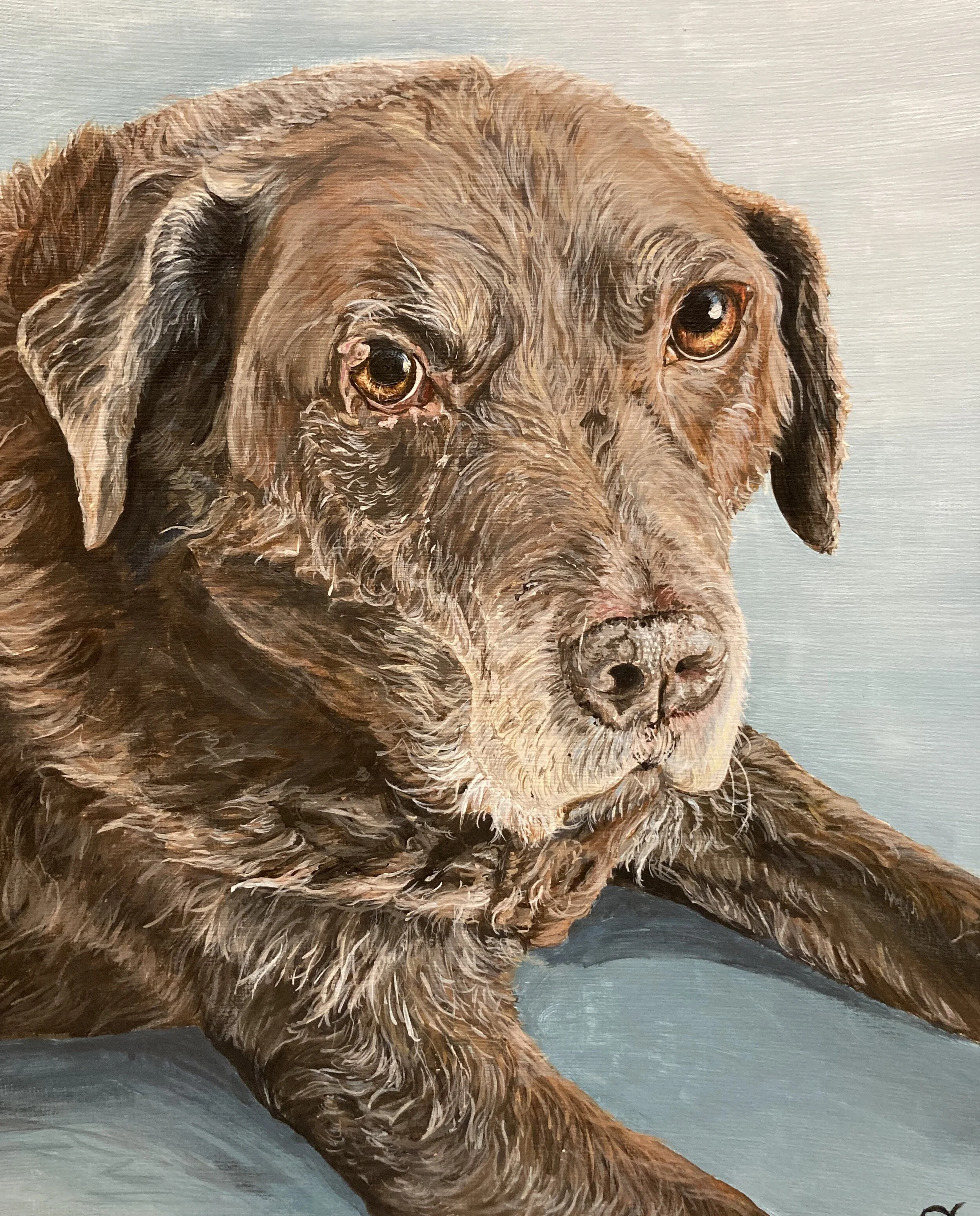 Orla Cullen Artist - Pet Portrait - Shadow - Freelance Artist.JPG