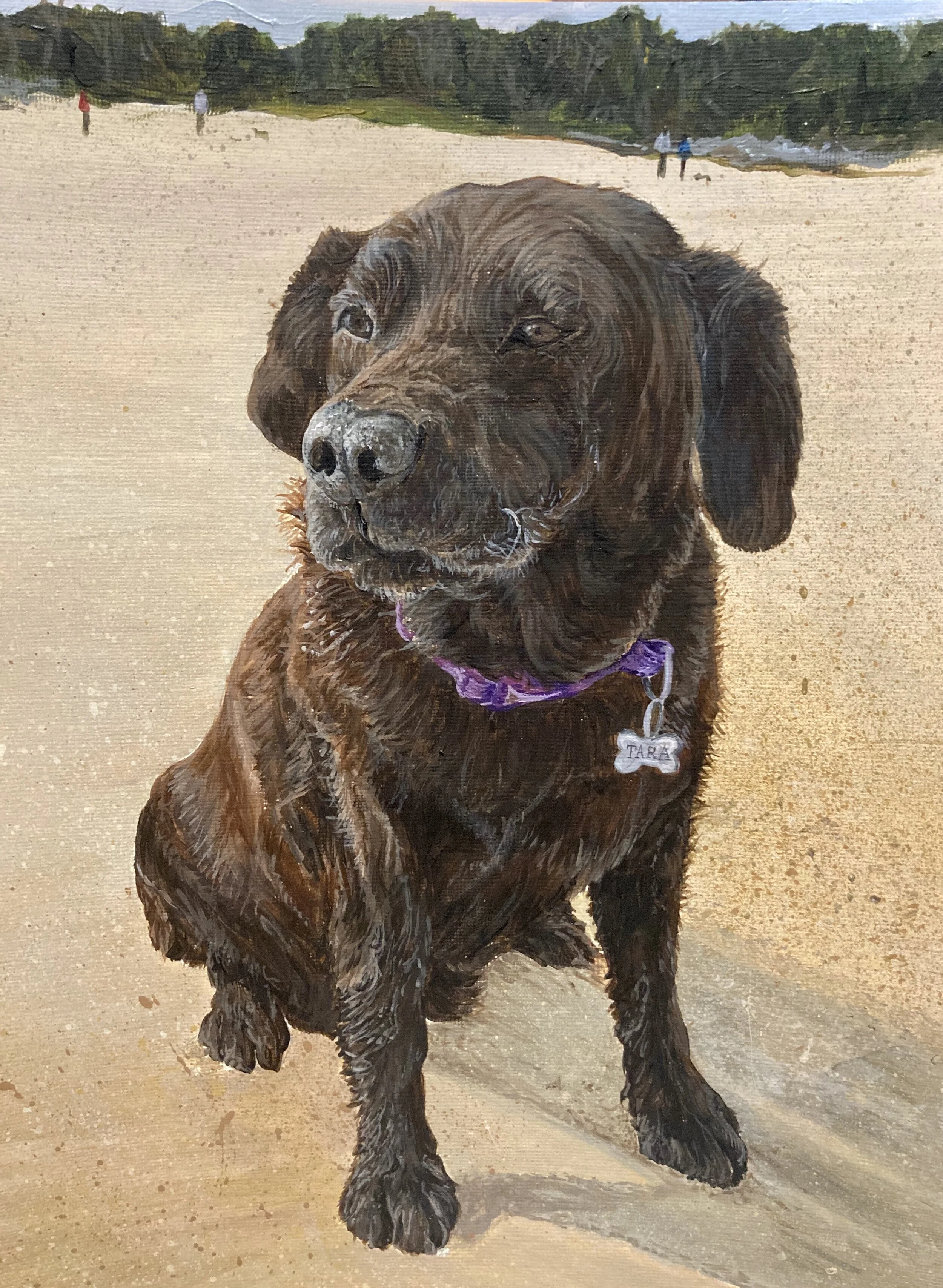 Orla Cullen Artist - Pet Portrait - Tara - Freelance Artist.JPG