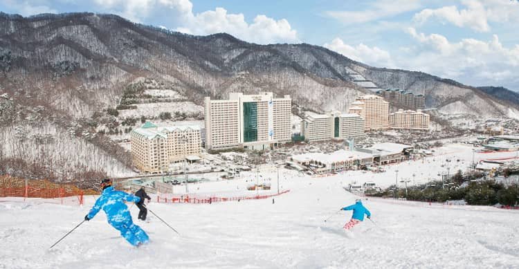 Vivaldi Ski Resort - day-trip from Seoul in Korea