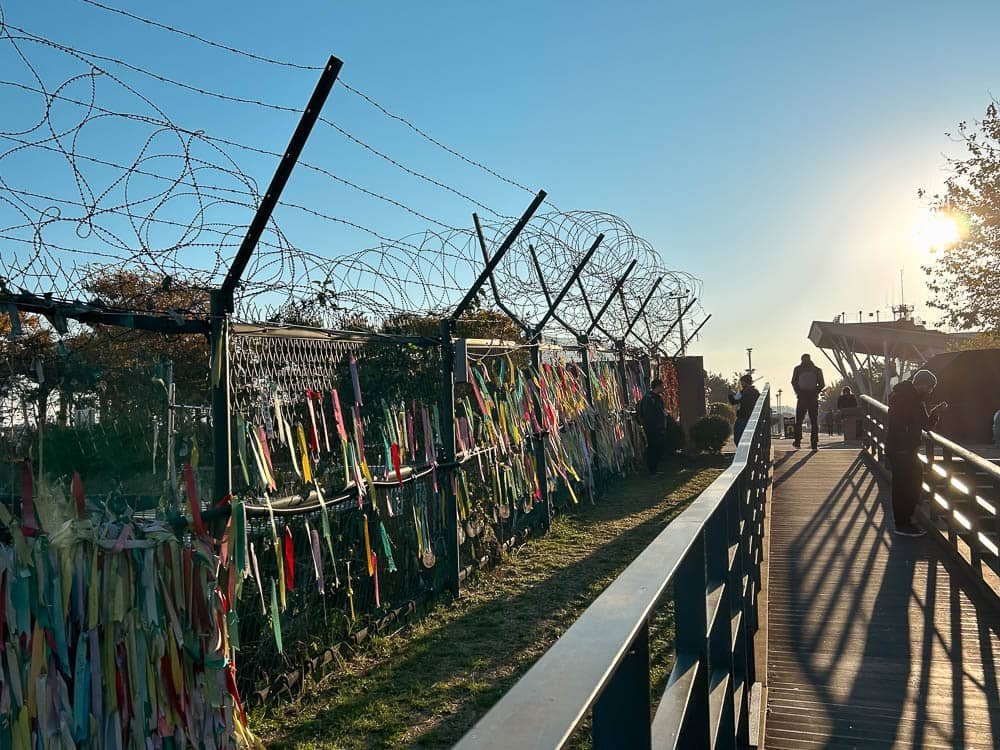 Barbed wire fence - Korean DMZ