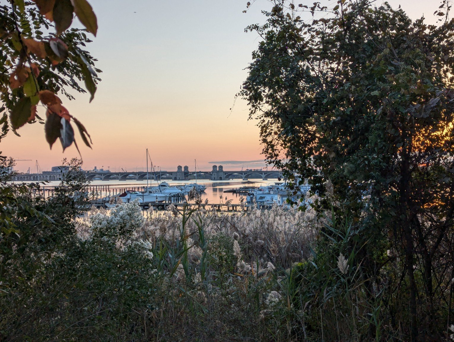 Middle Branch Park Oct 2024.jpg