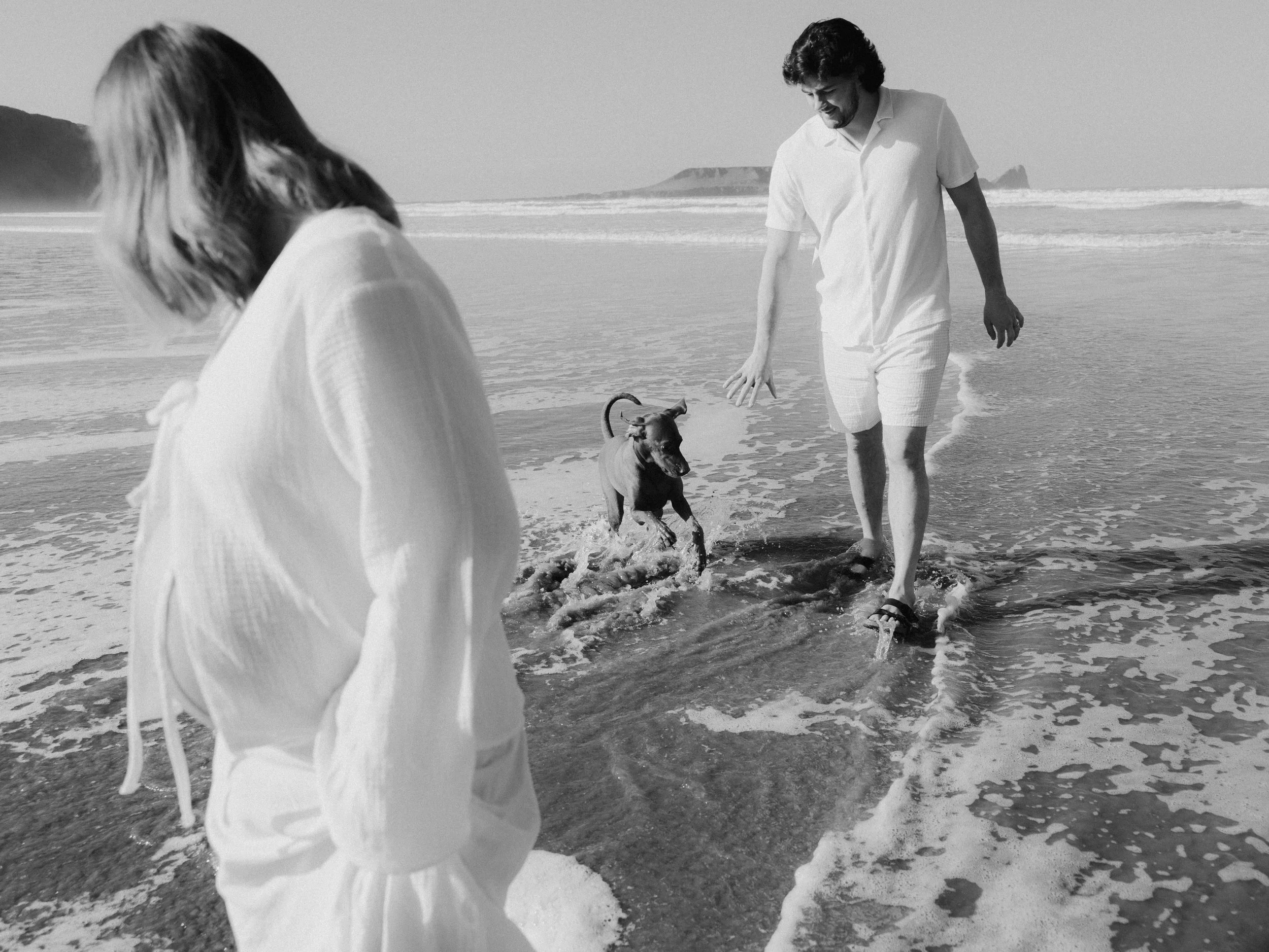 Couple expecting a baby spending time with their dog on the beach