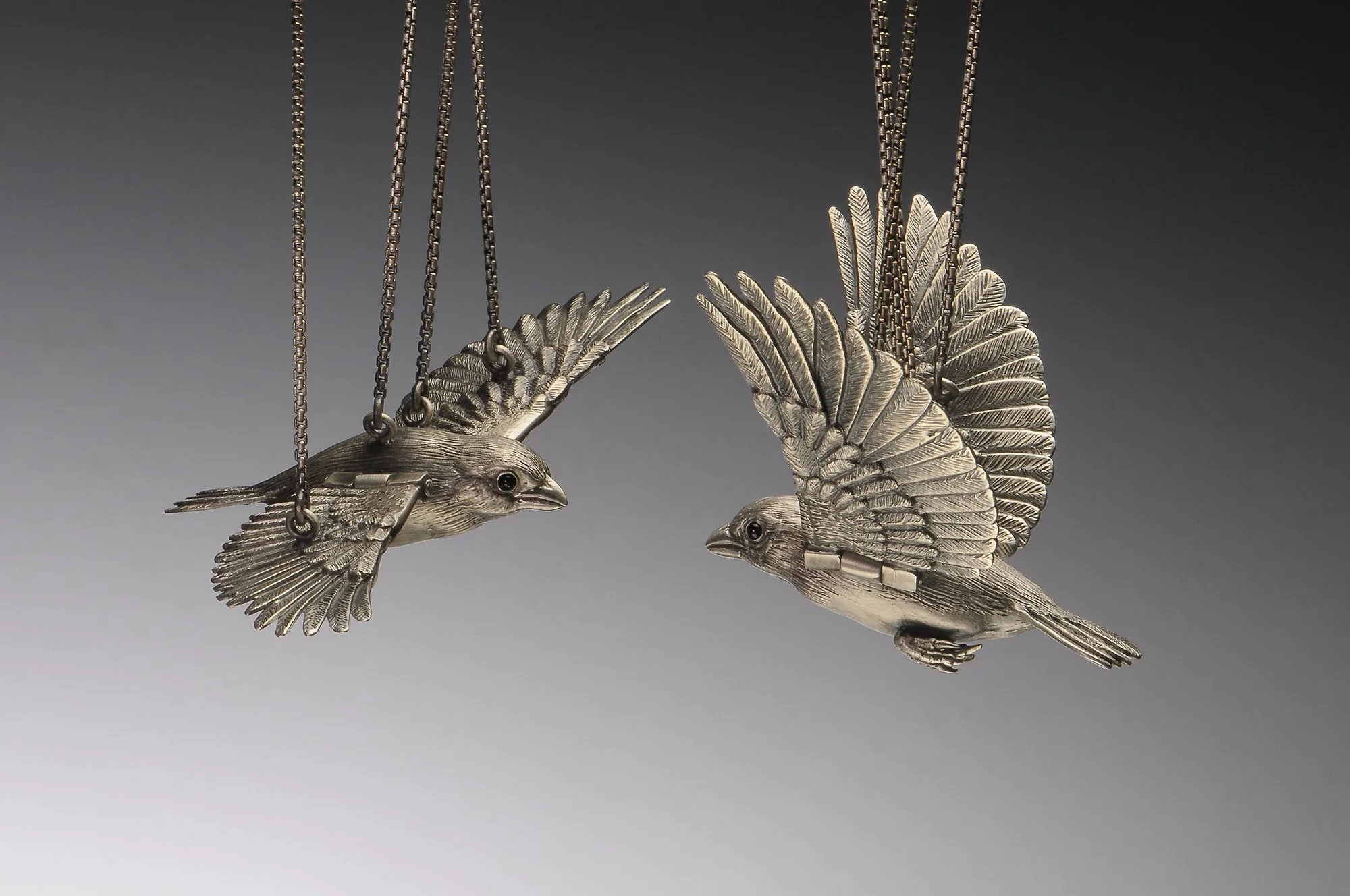 Bird 