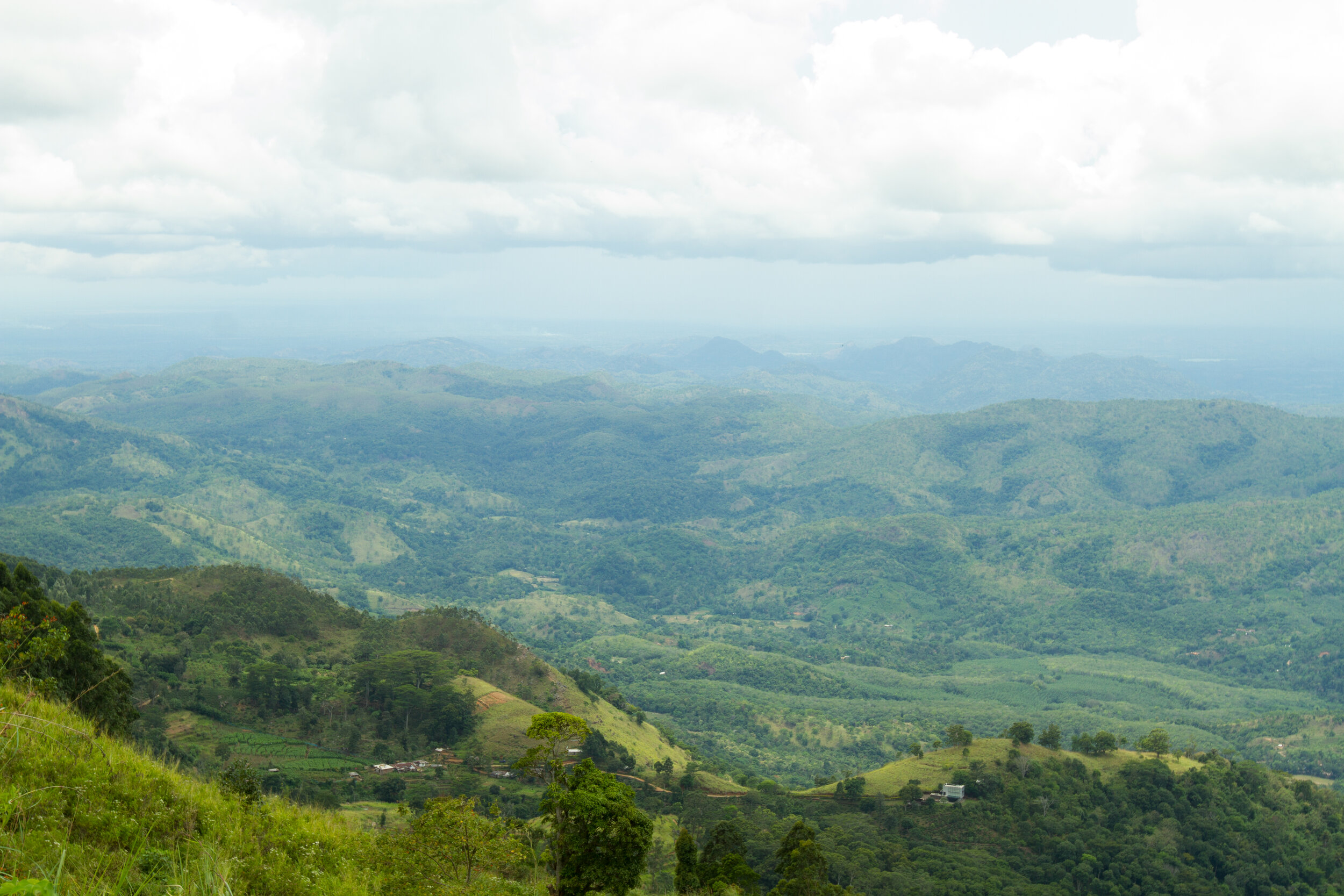 DL20150908-9397.jpg