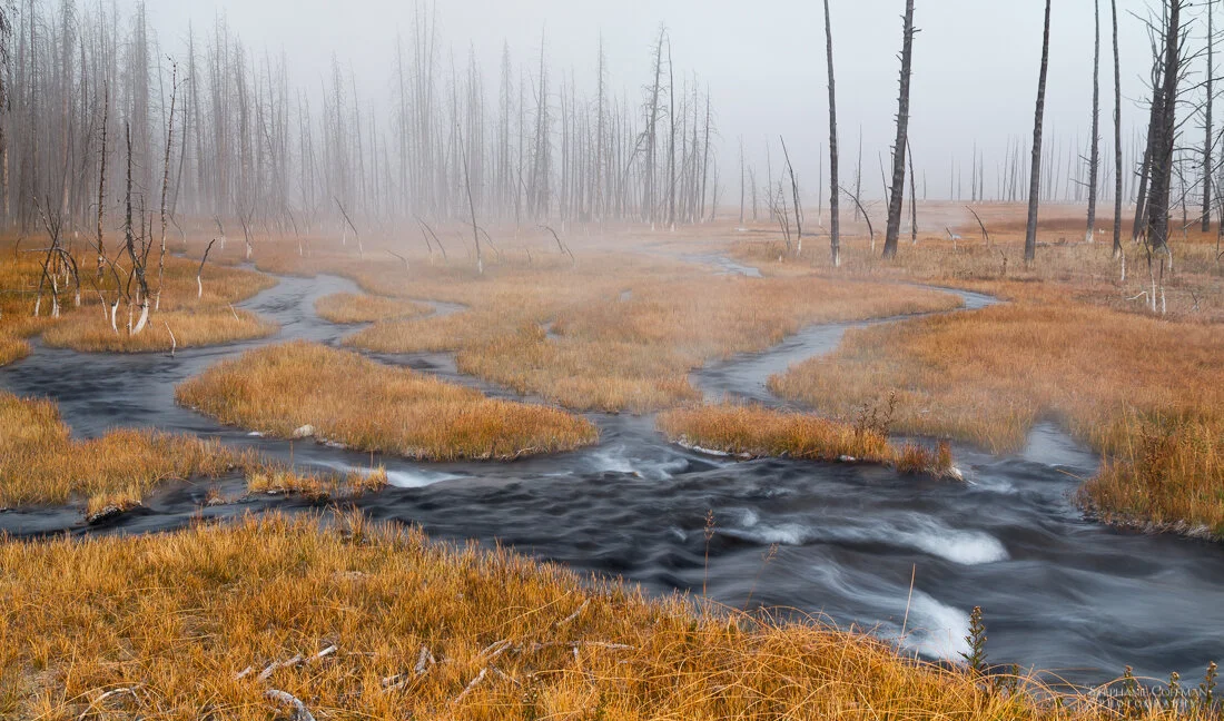 SCoffman_20110927_027-3.jpg