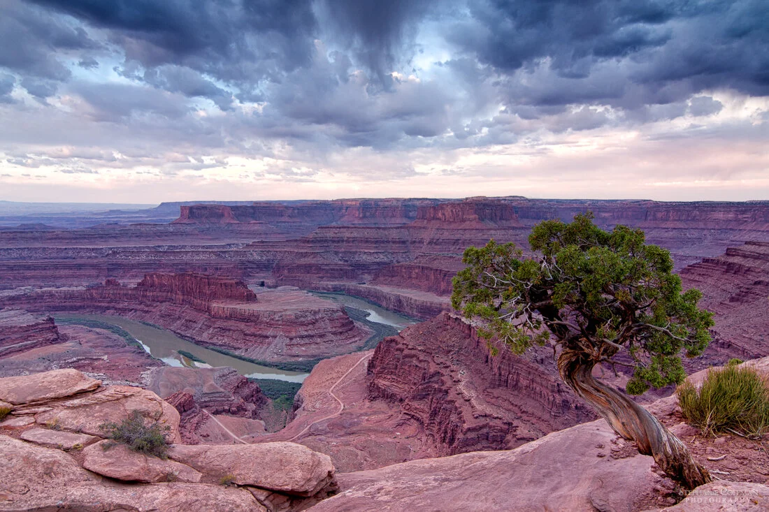SCoffman_20120923_028-5.jpg