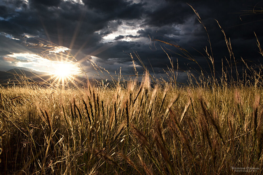 SCoffman_20140829_229-12.jpg
