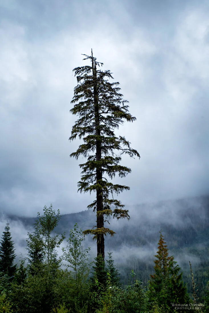 SCoffman_20180909_149-17.jpg