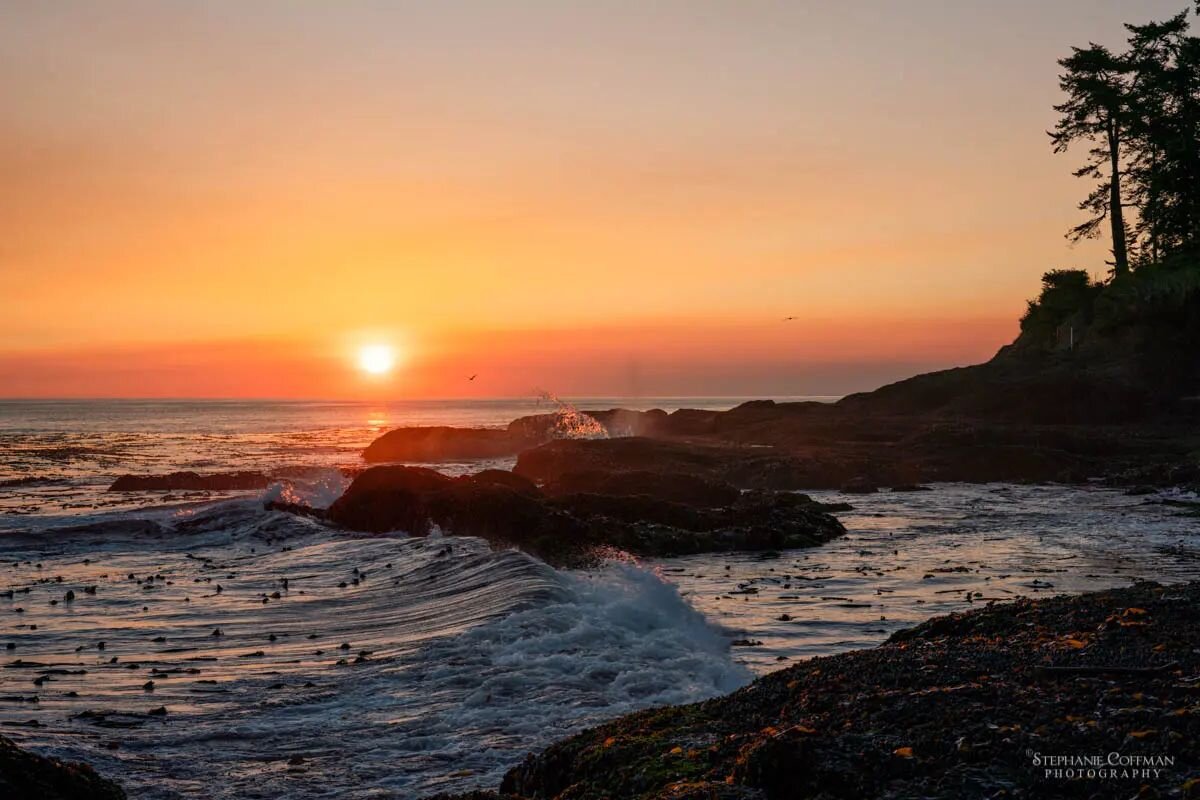 Throwback to September with a sunrise along the Olympic Peninsula coast. 

I hope you all get a chance to rest and relax this holiday season. We are looking forward to spending some time with family soon.
.
.
.
.
.
.
#pnw #washingtonstate #washington