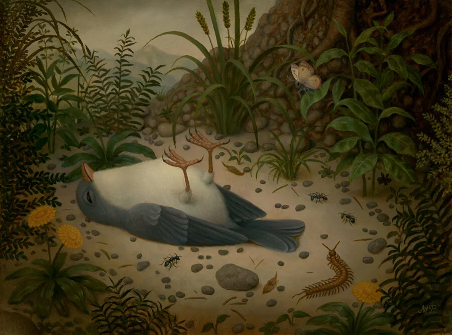 Dead Bird