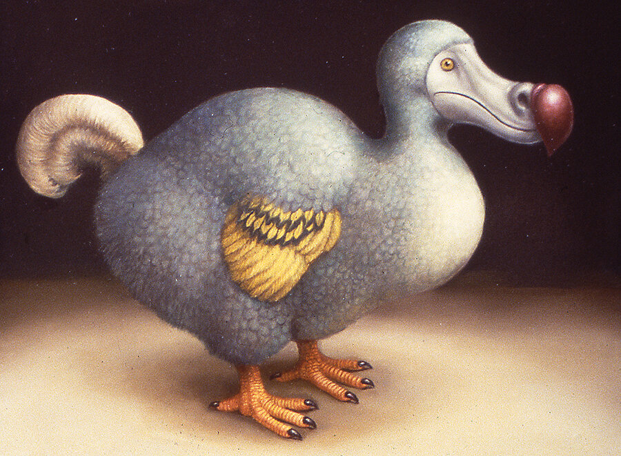 dodo.jpg