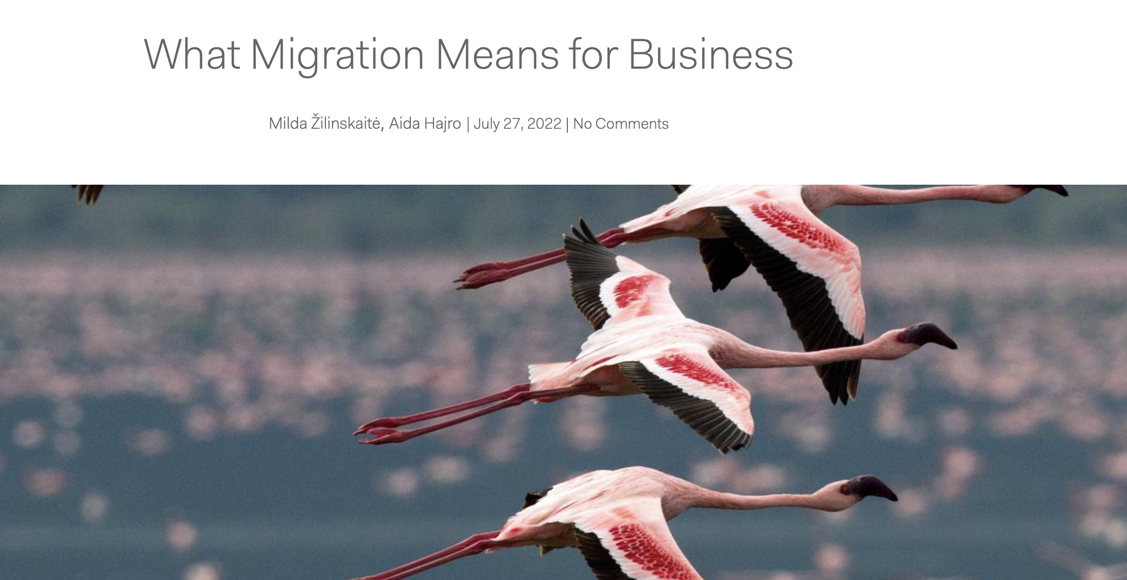 What migration means for business