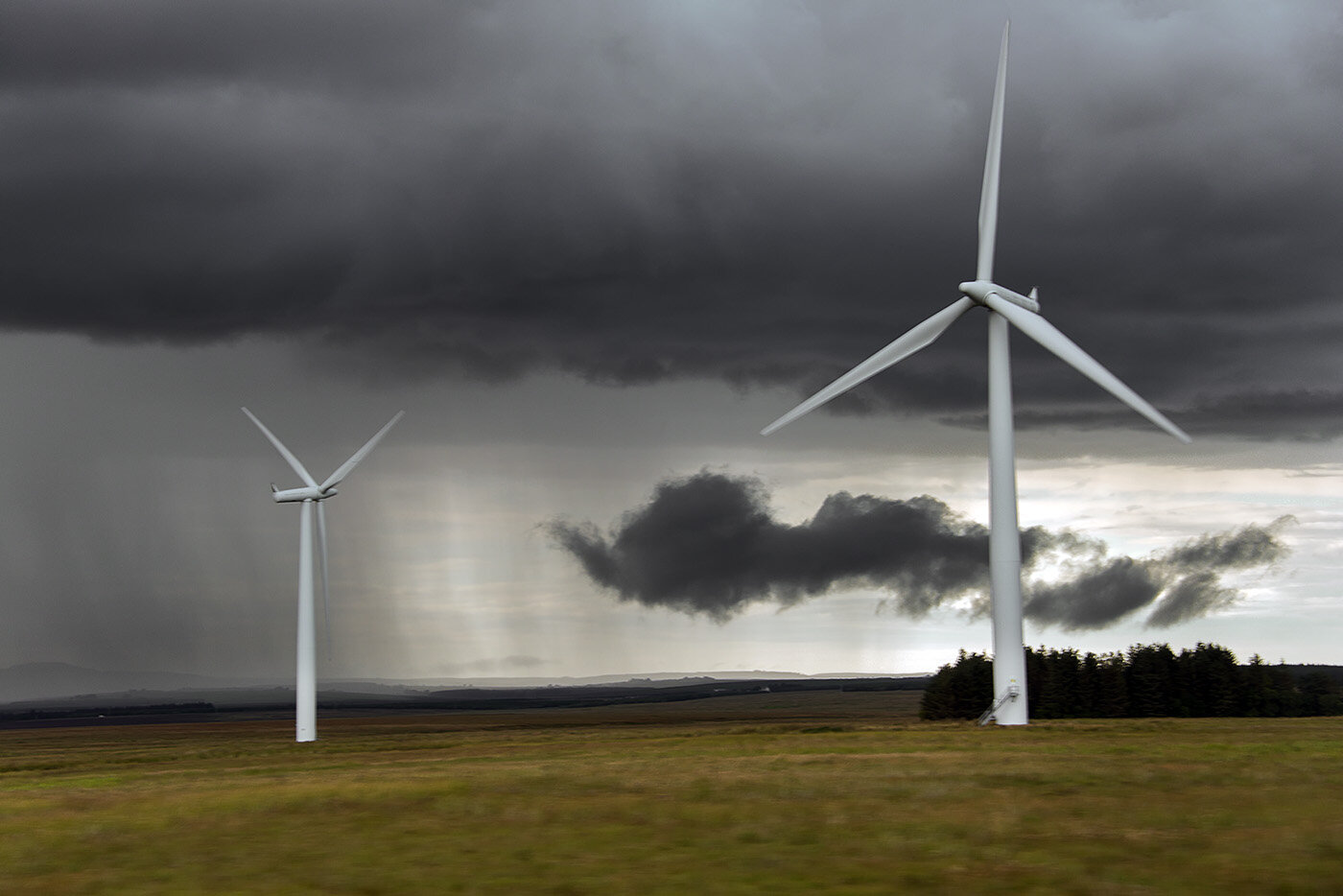 AD//HOC: Understanding the Externalities of Carbon Credit Markets, Pt. 1